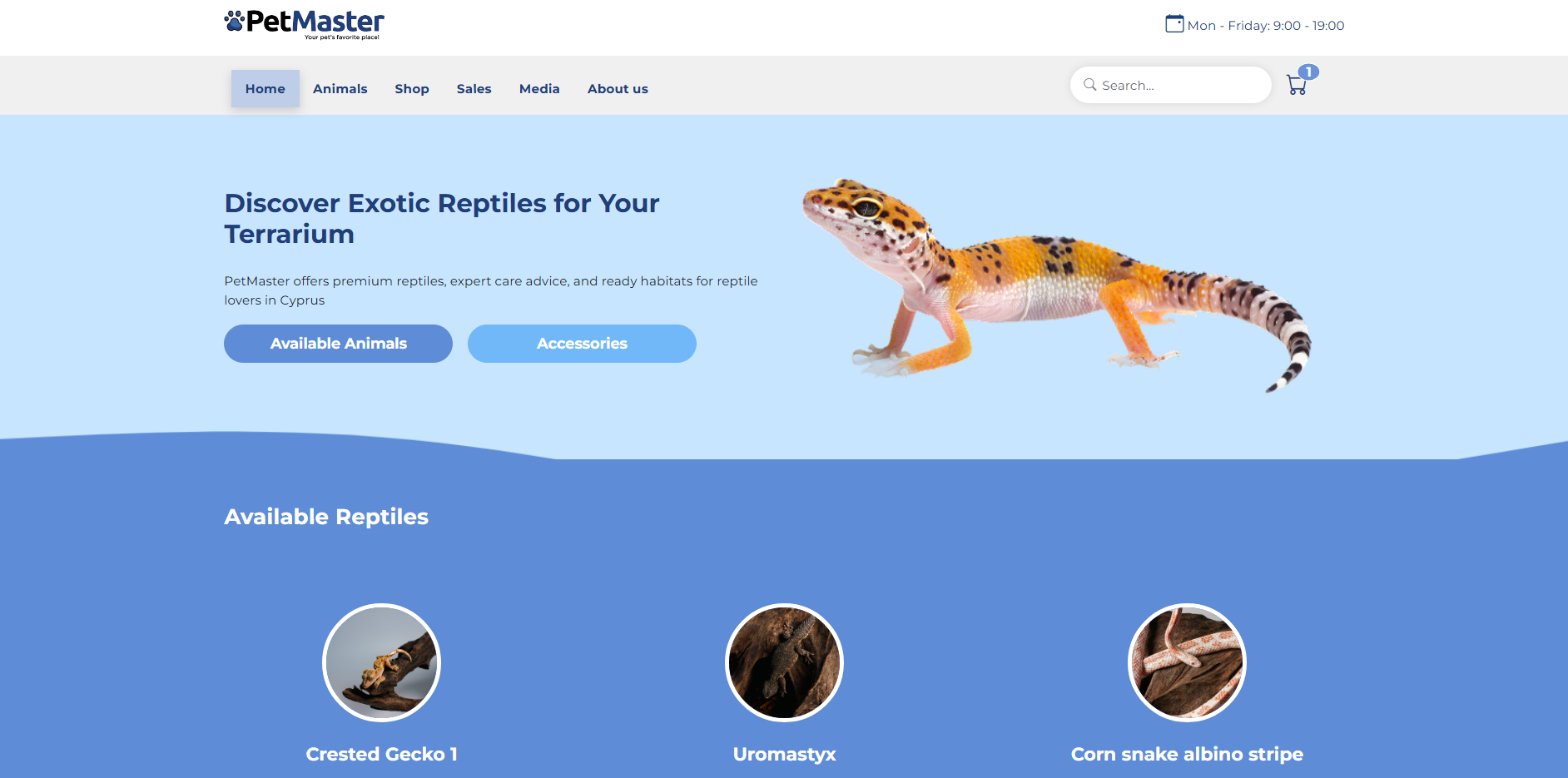 Petmaster website desktop view